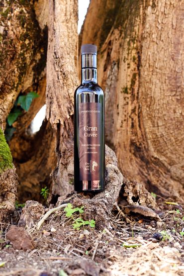 A bottle of Gran Cuvée olive oil placed against a large tree trunk outdoors.