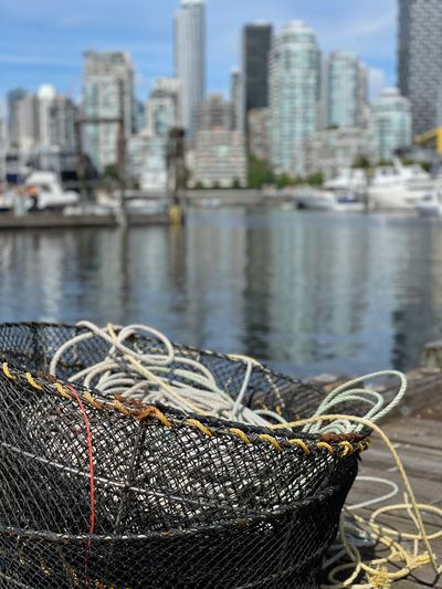 Fishing rope, prawn traps, water, dockside