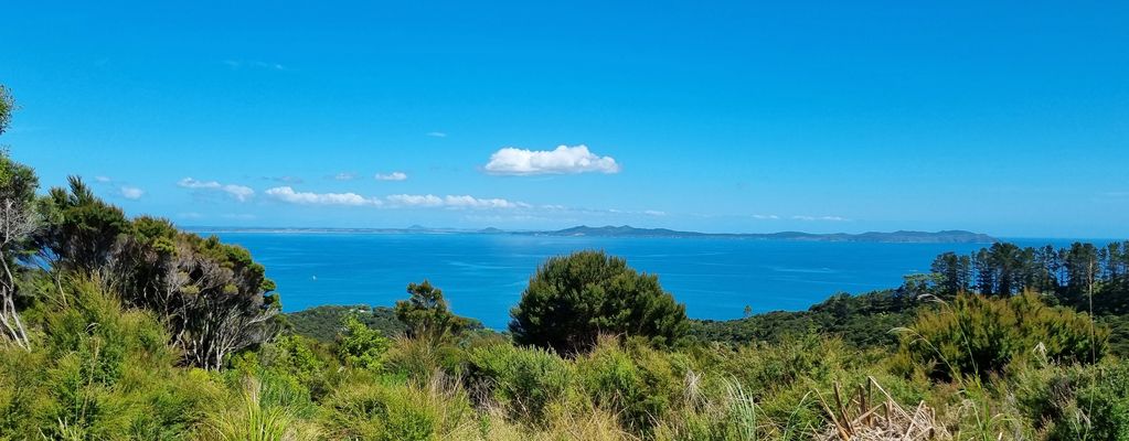Ocean view with green trees and clear blue sky.