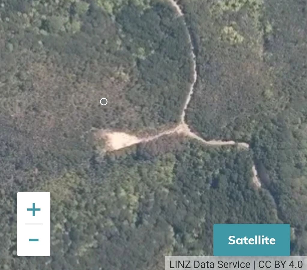 Satellite image showing a forested area with dirt paths.
