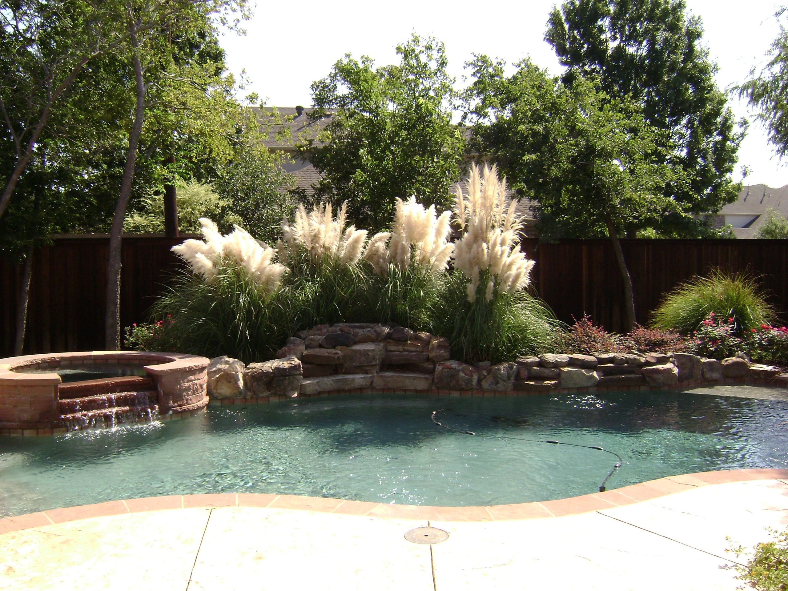 Pool-landscaping.jpg