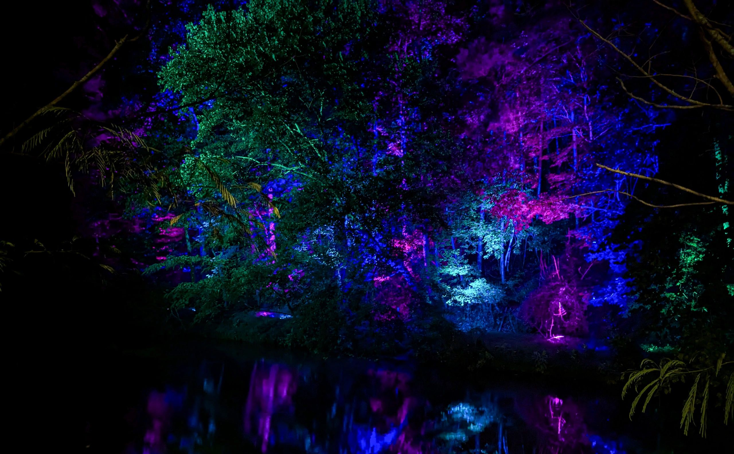 Wash Lighting Display