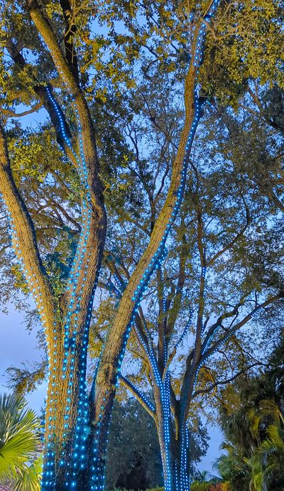 LED Tree