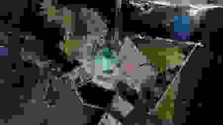 image25