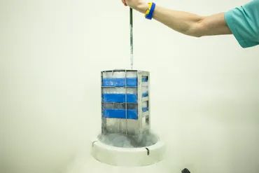 冷冻代孕夫妻的胚胎