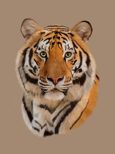 Rajah by Hendro Soetrisno