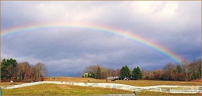 Partial view of our pastures