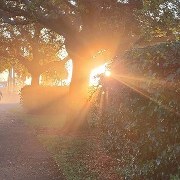 Once in a while you get shown the light in the strangest places when you look at it right. Scarlet