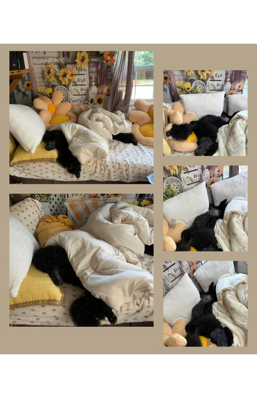 Getting a lot of rest before the big day!