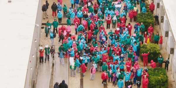 Large group walking outdoors, many in red and turquoise.