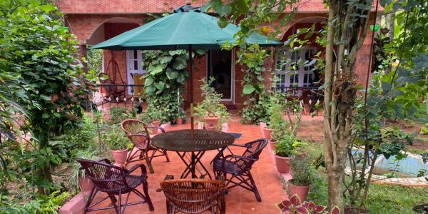 Cozy outdoor patio with wicker chairs and a green umbrella surrounded by lush plants.