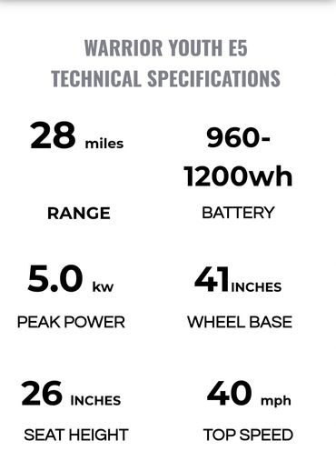 Technical specs of Warrior Youth E5 bike including range, battery, power, and speed.