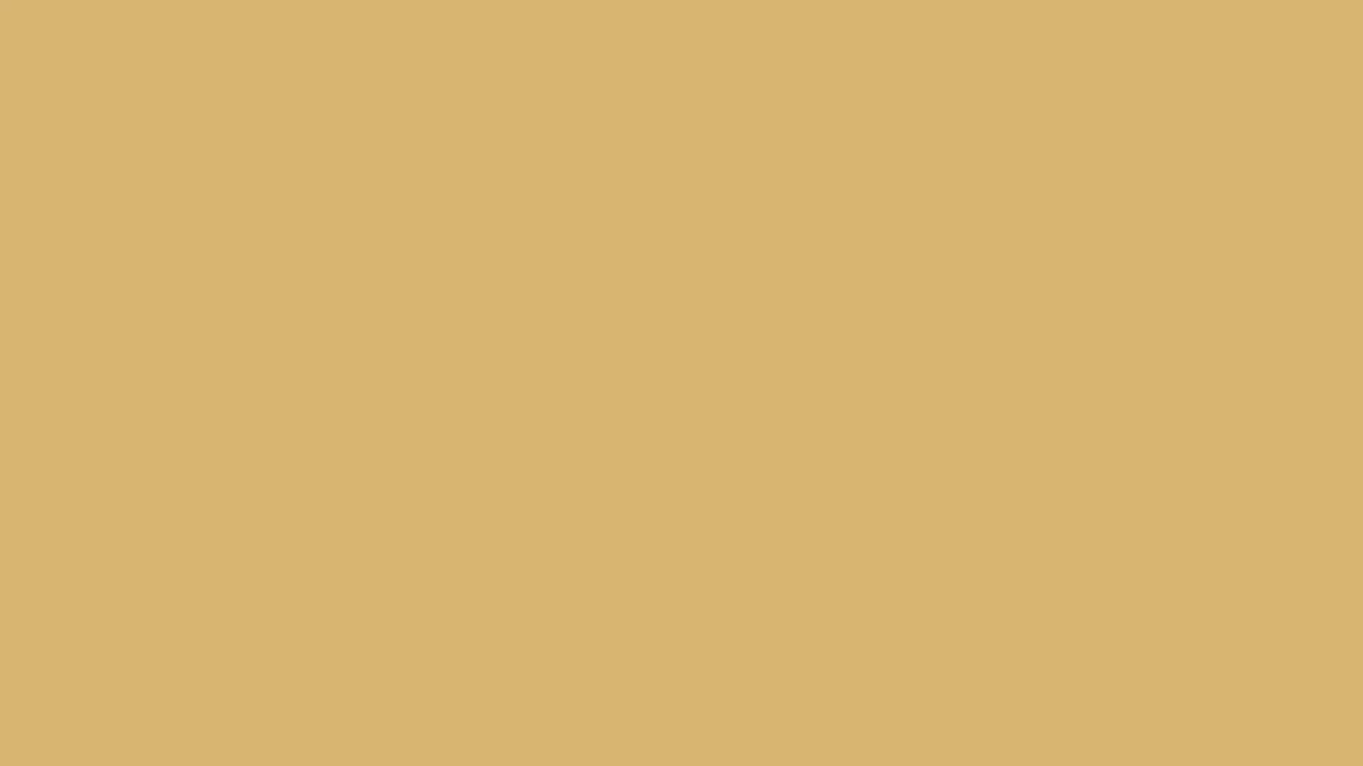 Solid beige color background with no distinct features.