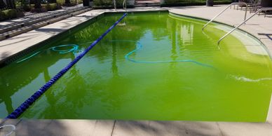 Green Pool