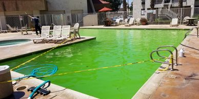 Green Swimming Pool