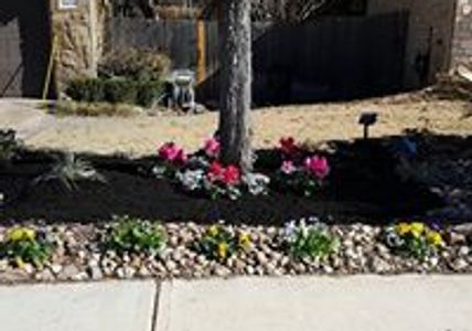 mulching, gravel, plants