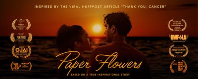 Romantic silhouette of a couple at sunset with film festival accolades.