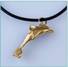 Gold dolphin pendant on black cord necklace.