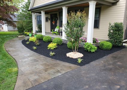 Landscape design and Plant installation