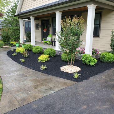 Landscape design and Plant installation