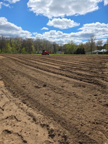 Tractor preparing rows in a freshly plowed field under a blue sky.