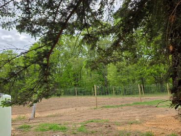 View of a fenced garden with young plants and overhanging tree branches.