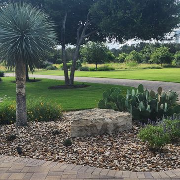 A landscaped garden with rocks, cactus, and trees under a blue sky.