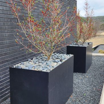 Modern black planters with small trees and decorative stones against a brick wall.