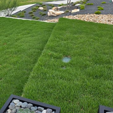 Well-maintained green lawn with a sprinkler head and decorative stones.