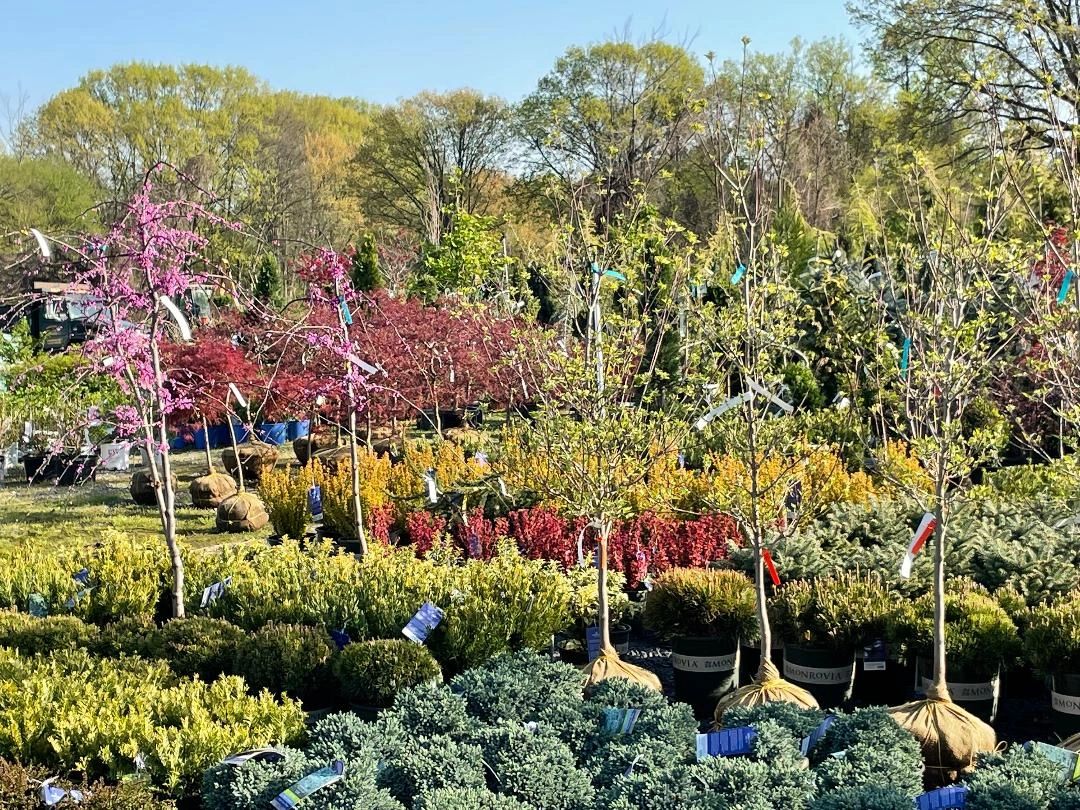 EISELE'S NURSERY & GARDEN CENTER, INC. logo