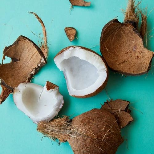 Coconut, shells and coir