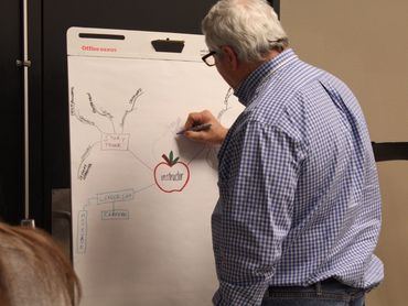 Solomon Facilitated Training Activities