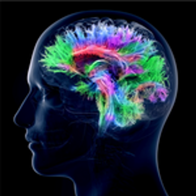 REPS virtual reality sports training