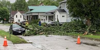 Fallen tree blocks a residential street, surrounded by traffic cones.