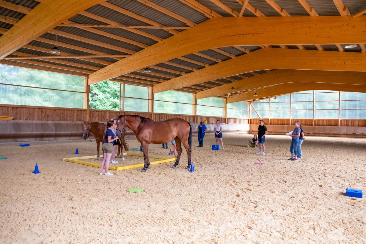 pferdegestütztes Coaching Ausbildung - Praxisteil in der Reithalle mit 2 Pferden in einer Parcoursa