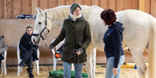pferdegestütztes Coachin-Ausbildung in der Reithalle mit einer Teilnehmerin, die Pferd am Strick hat
