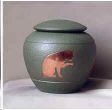 Odyssey Collection in green color