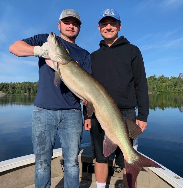 Great action with big muskies (musky) in beautiful locations.
