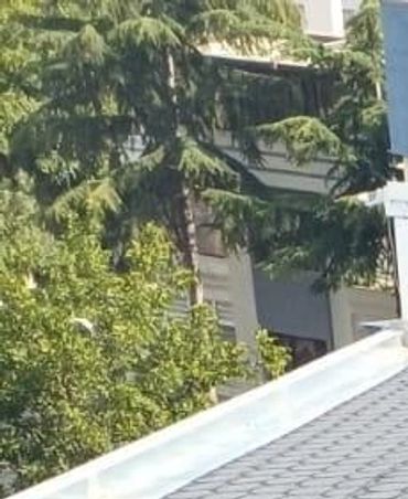 Şıngıl çatı montajı