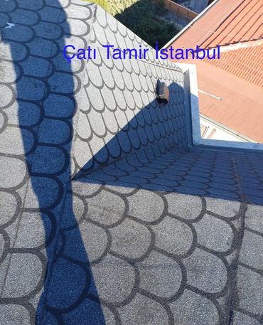 Shingle uygulaması