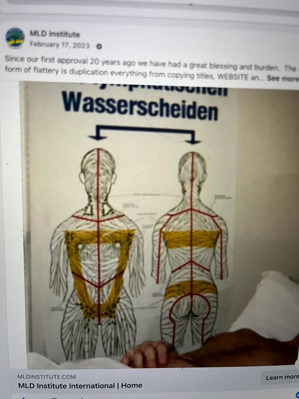 Diagram of the human lymphatic system showing two back views