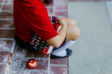 Classic novels for school