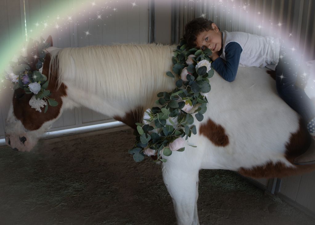 Sweet boy on a unicorn with a rainbow flying over