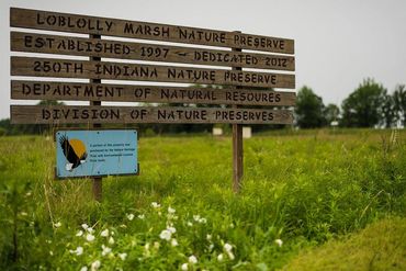 Loblolly Marsh Nature Preserve