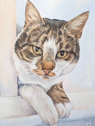 A memorial cat portrait painting of a tabby cat, captured in watercolour by UK artist Jo Shepherd