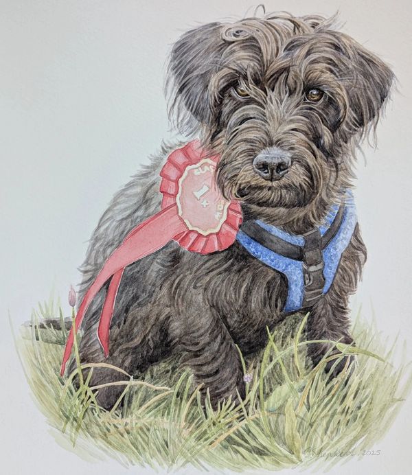 Custom pet portrait commission of a black dog in watercolour by jo shepherd