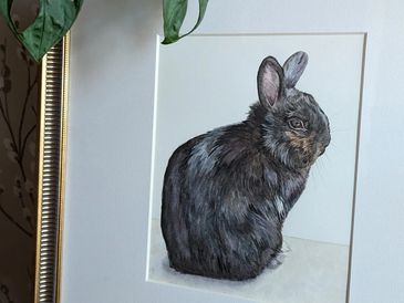 Pet portrait of a black rabbit, beautifully presented in an ornate framed