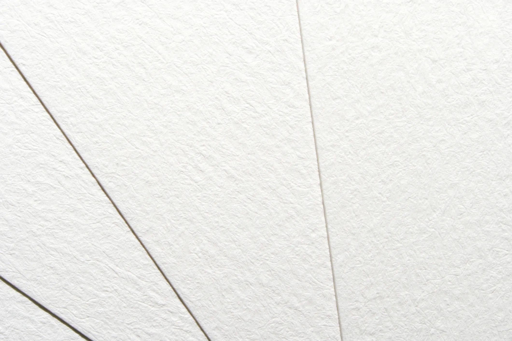 Close-up of layered watercolour paper sheets, ready for creating hand-painted pet portraits.