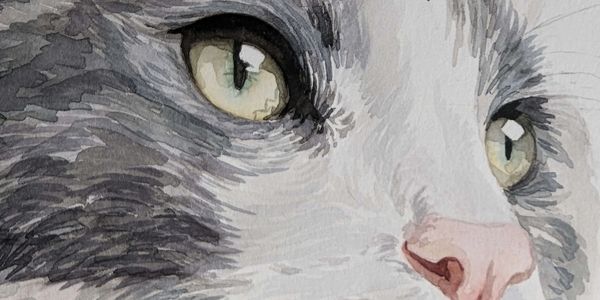 Close up watercolour painting of a grey and white cat with green eyes demonstrating beautiful layers