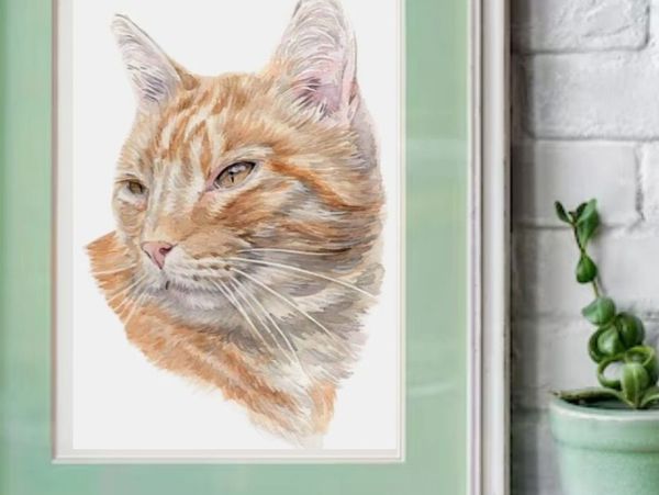Hand-painted pet portrait of a ginger tabby cat by Lincolnshire artist Jo Shepherd, UK